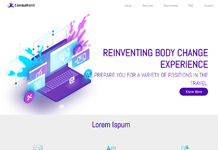 BUSINESS-CONSULTANCY